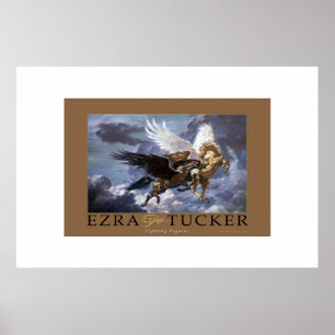 Poster Pegasus de combat