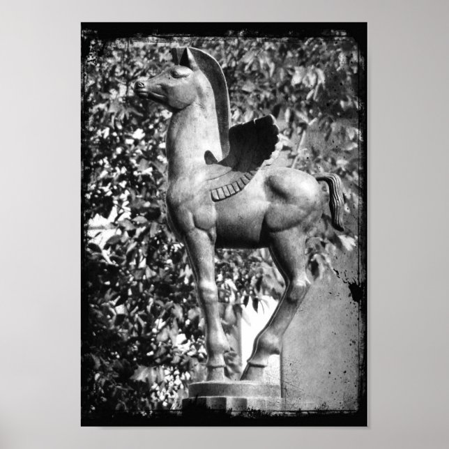 Poster Pegasus en Grunge noir et blanc (Devant)