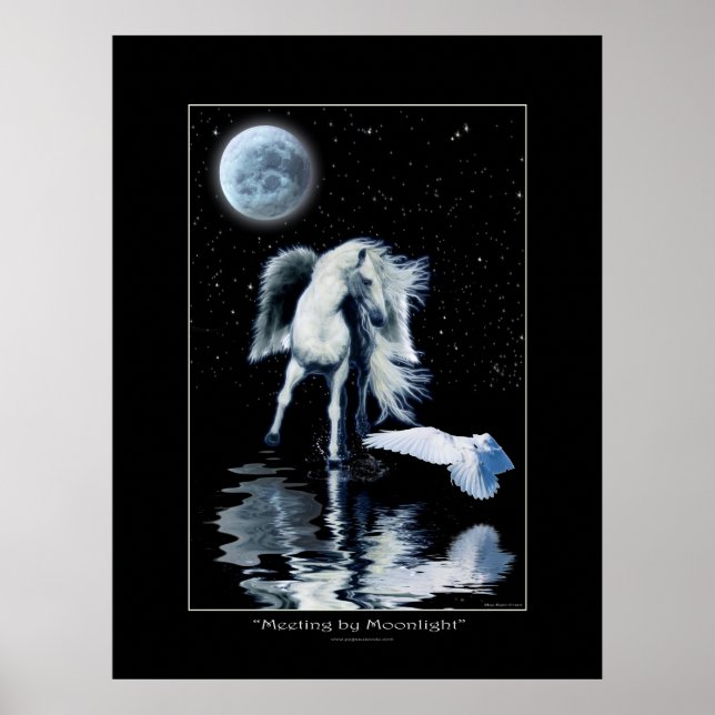 Poster PEGASUS et collection BLANCHE de RAVEN (Devant)