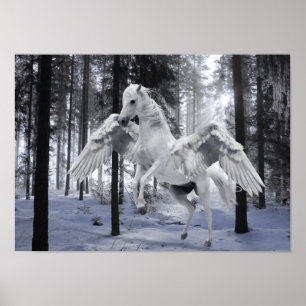 Poster Pegasus s'est envolé l'affiche de neige de forêt