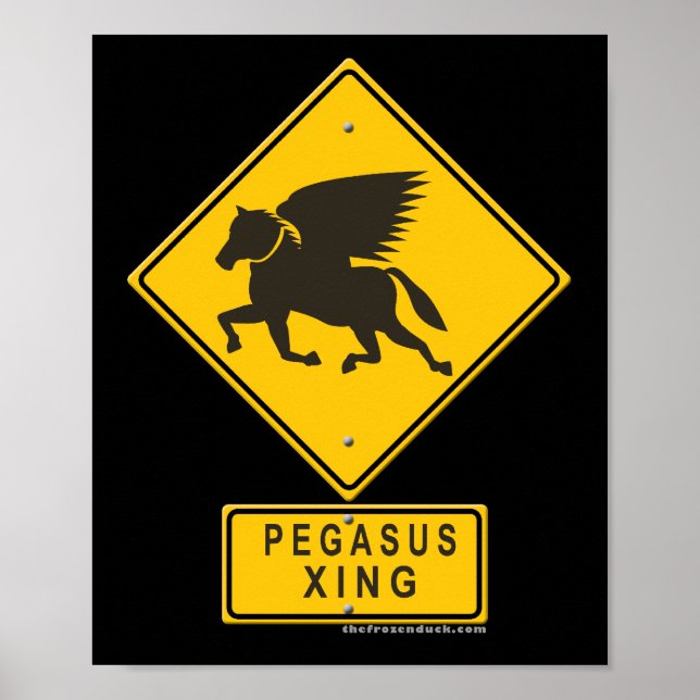 Poster Pegasus XING (Devant)