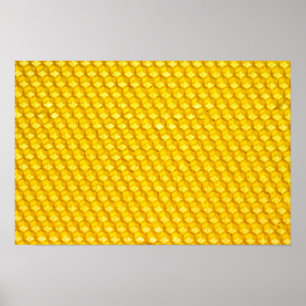 Poster Peigne