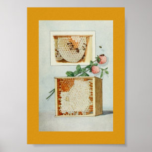 Poster Peigne vintage de miel, abeilles, cire d'abeille,