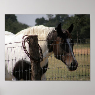 Poster Peindre Cheval et clôture