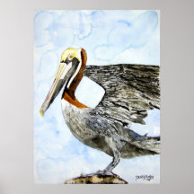 peindre_oiseau_pelican_4