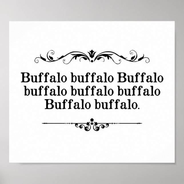 Poster Peine de Buffalo Buffalo (Devant)
