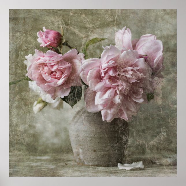 Poster *~* Peine rose Peony Peinture Still Life Art AR23  (Devant)