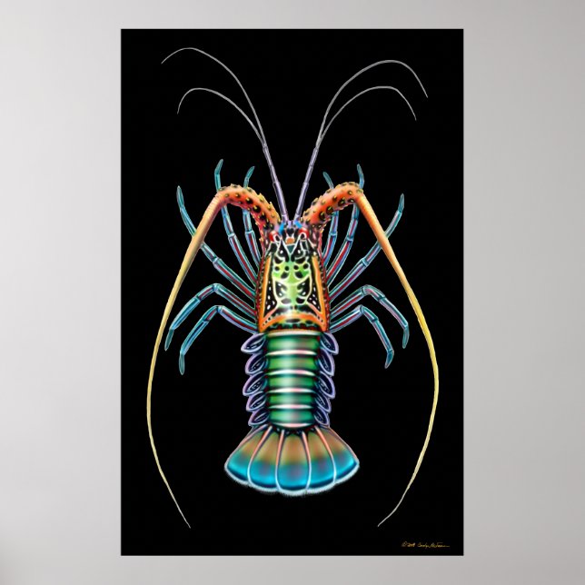 Poster peint de homard épineux (Devant)