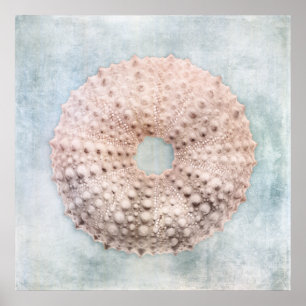 Poster Peinture à la crème bleue du littoral en état de d