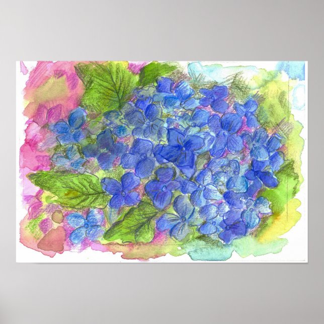Poster Peinture à l'aquarelle bleu Hydrangea (Devant)
