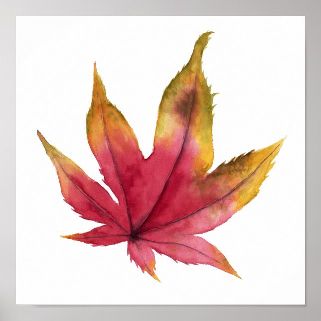 Poster Peinture à l'aquarelle de la feuille d'érable d'au (Devant)