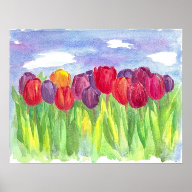 Poster Peinture à l'aquarelle de terrain de la tulipe arc (Devant)