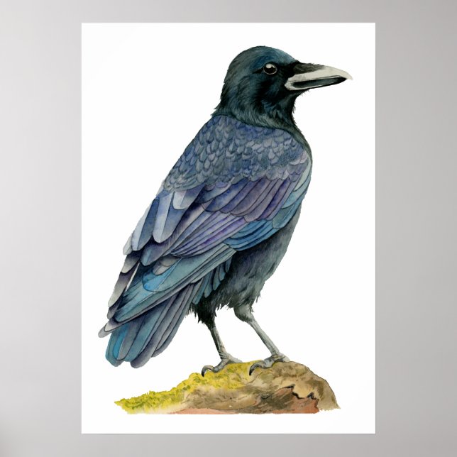 Poster Peinture à l'aquarelle du corbeau (Devant)