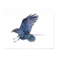 Peinture à l'aquarelle du corbeau
