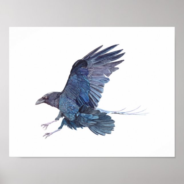Poster Peinture à l'aquarelle du corbeau (Devant)