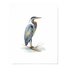 Peinture à l'aquarelle du Grand Héron