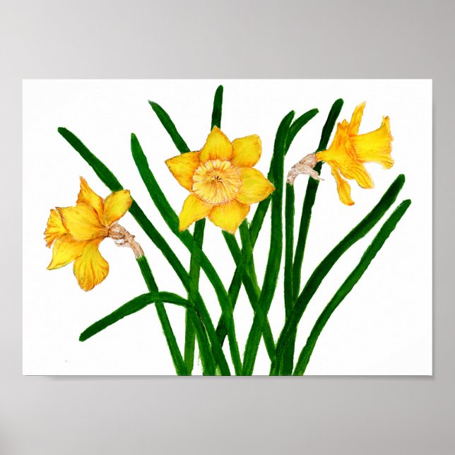 Poster Peinture à l'aquarelle florale jaune (Devant)