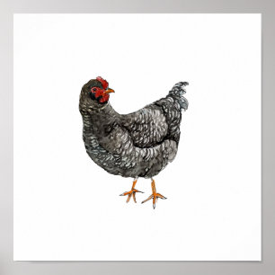 Poster Peinture à l'aquarelle Poule noir et blanc Oiseau
