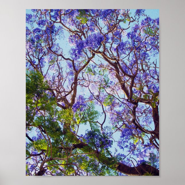 Poster Peinture à l'huile d'arbre de Jacaranda violet, (Devant)