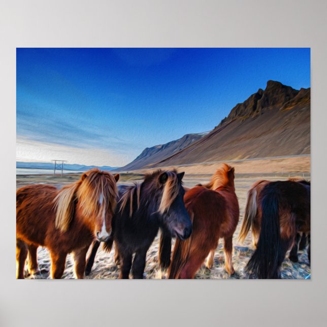 Poster Peinture à l'huile de cheval islandais (Devant)