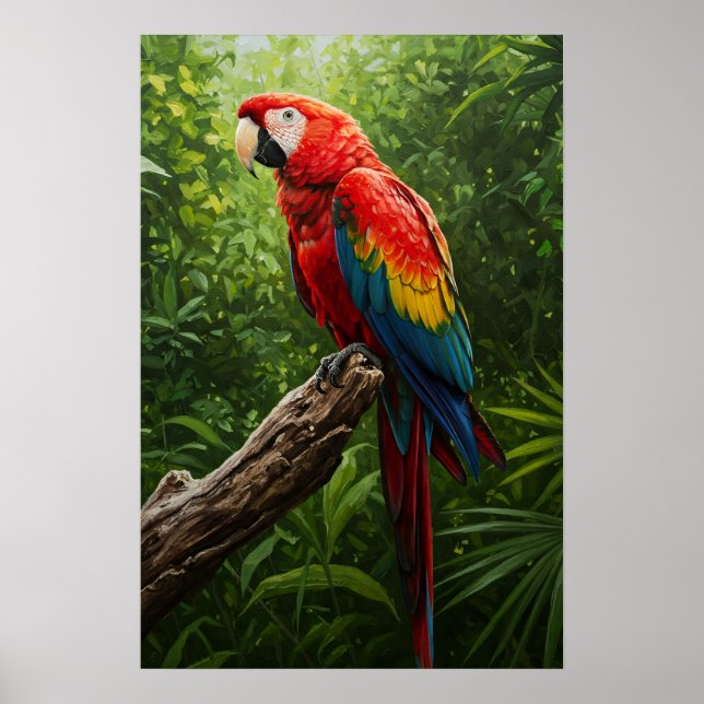 Poster Peinture à l'huile de Macaw (Devant)