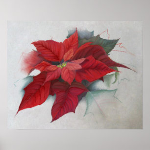 Poster Peinture à l'huile de Noël de poinsettia