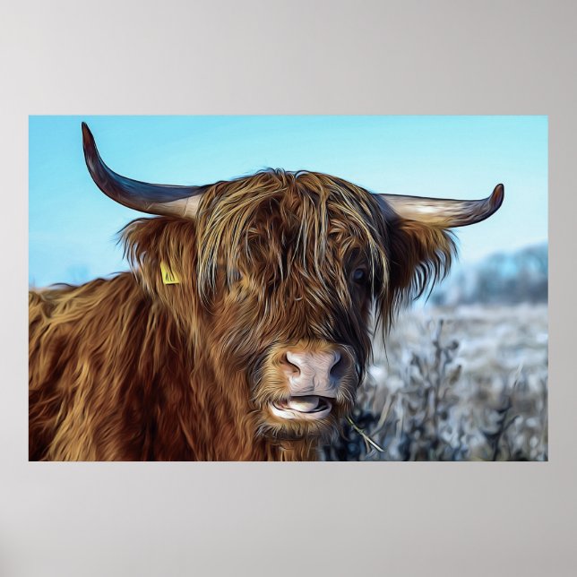 Poster Peinture à l'huile de vache de boeuf Shaggy Highla (Devant)