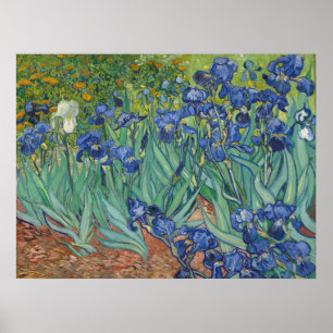 Poster Peinture à l'huile florale Les Iris bleus célèbres