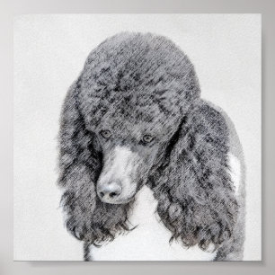 Poster Peinture à paille noire standard - Art du chien