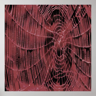 Poster Peinture Abstraite D'Un Cobweb Magenta Rose