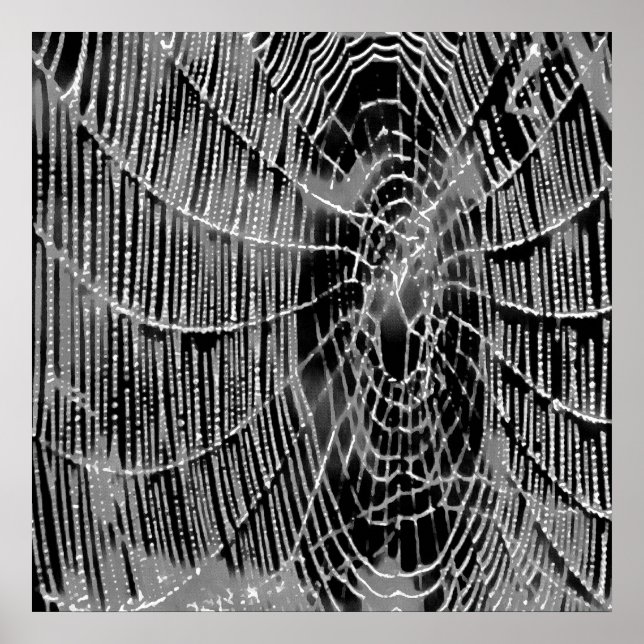 Poster Peinture Abstraite D'Une Cobweb Blanc Gris Sur Noi (Devant)