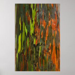 Poster Peinture abstraite verte, orange et noire