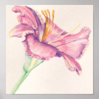 Peinture Acrylique Lily Rose