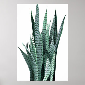 Poster Peinture acrylique Plante serpent