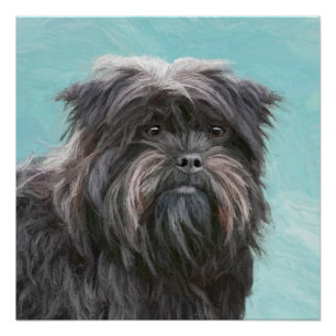 Poster Peinture Affenpinscher - Joli art original chien
