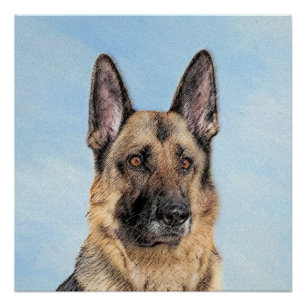 Poster Peinture berger allemande - jolie art original chi