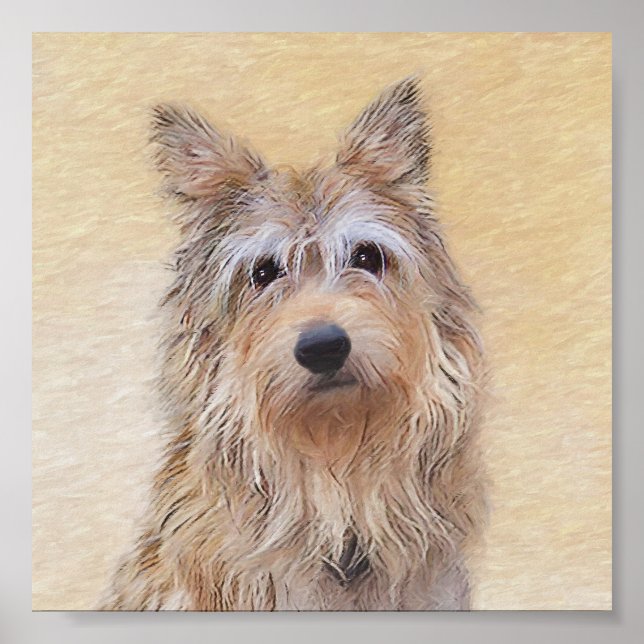 Poster Peinture Berger Picard - Joli art original chien (Devant)