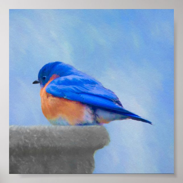 Poster Peinture Bluebird - Art original pour oiseaux (Devant)
