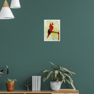 Poster Peinture colorée de perroquet Ara