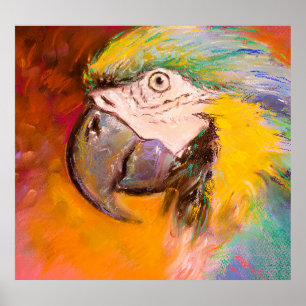 Poster Peinture colorée de perroquet pastel