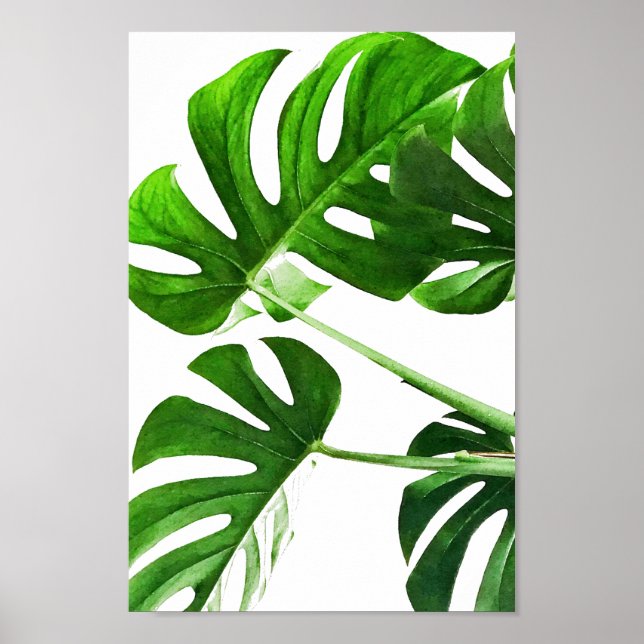 Poster Peinture d'aquarelle de la feuille de Monstera #5 (Devant)