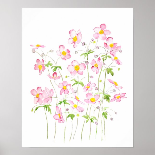 Poster Peinture d'aquarelle de terrain Anemone rose (Devant)