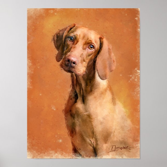 Poster Peinture d'art de Chien Vizsla en Hongrie (Devant)