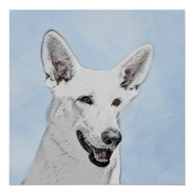Poster Peinture de berger blanc - jolie art original de c (Devant)