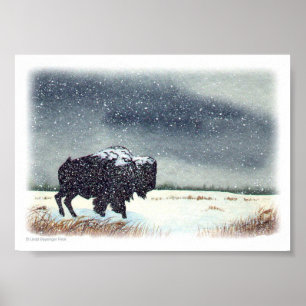 Poster Peinture de bison époussetée par neige