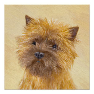 Poster Peinture de Cairn Terrier - Cute Original Chien Ar