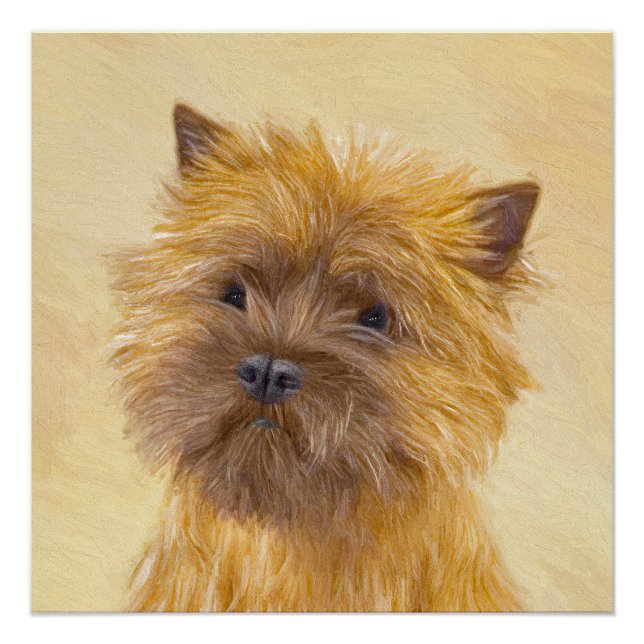 Poster Peinture de Cairn Terrier - Cute Original Chien Ar (Devant)