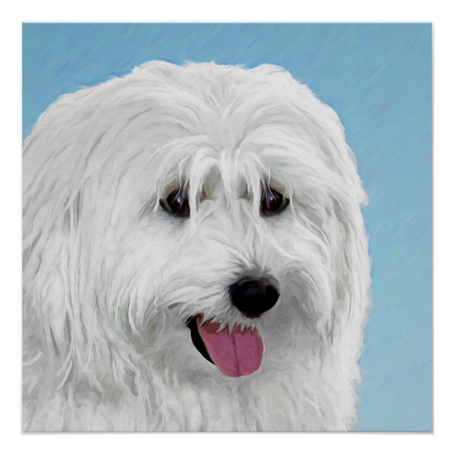 Poster Peinture de chien de berger polonais - Chien d'ori (Devant)