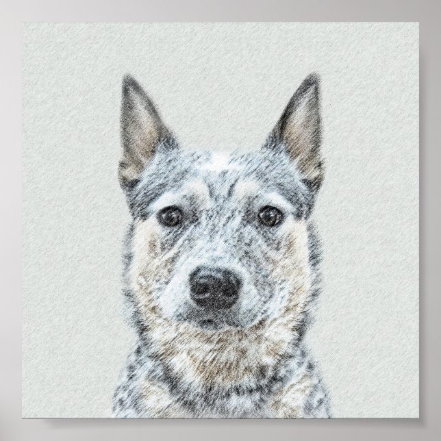 Poster Peinture de chien de bétail australien - Beau art  (Devant)