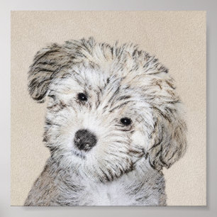 Poster Peinture de Chien Havanais - Cute Original Chien A